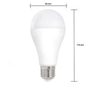 LED lamp - E27 fitting - 15W vervangt 120W - 6000K daglicht wit